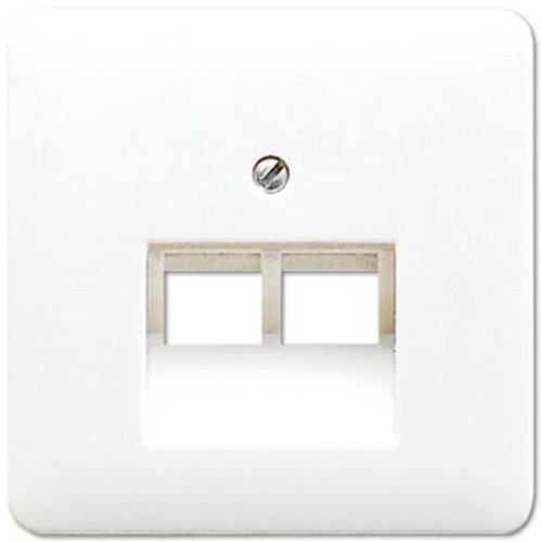 Лицевая панель Jung CD500 для 2-м. розетки RJ11/RJ45 белый картинка